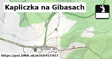 Kapliczka na Gibasach