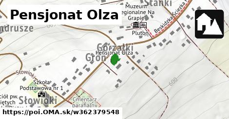 Pensjonat Olza