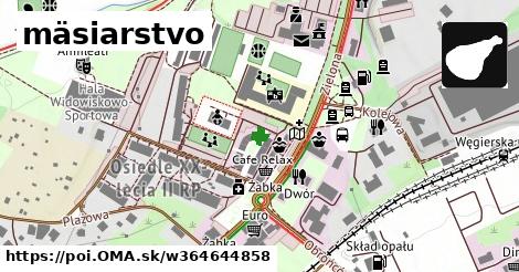 mäsiarstvo