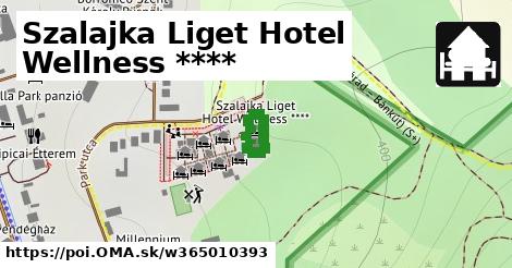 Szalajka Liget Hotel Wellness ****