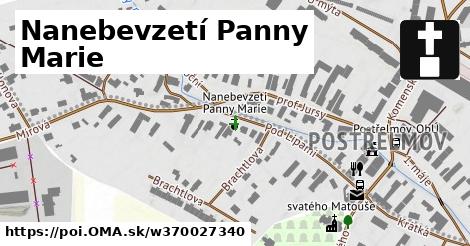 Nanebevzetí Panny Marie