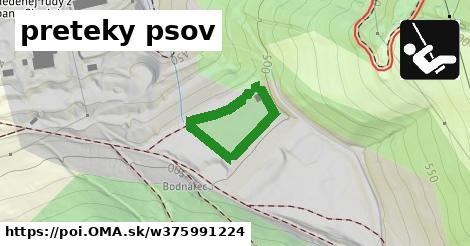 preteky psov