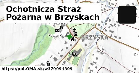 Ochotnicza Straż Pożarna w Brzyskach