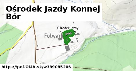 Ośrodek Jazdy Konnej Bór