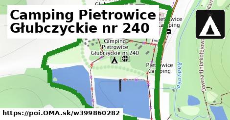 Camping Pietrowice Głubczyckie nr 240