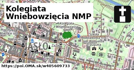 Kolegiata Wniebowzięcia NMP