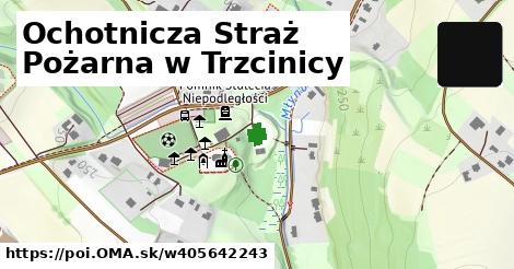 Ochotnicza Straż Pożarna w Trzcinicy