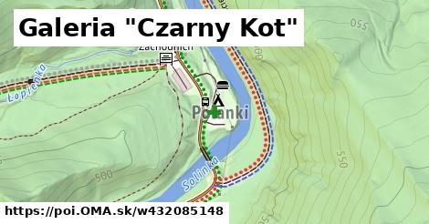 Galeria "Czarny Kot"