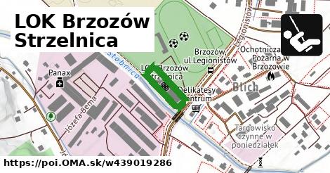 LOK Brzozów Strzelnica