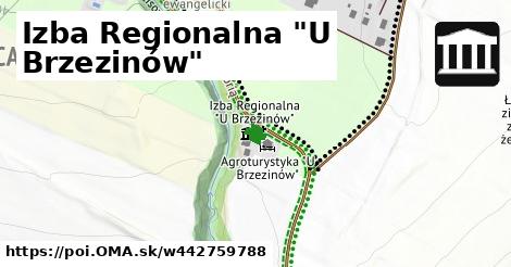 Izba Regionalna "U Brzezinów"