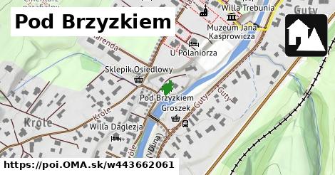 Pod Brzyzkiem