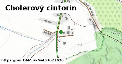 Cholerový cintorín