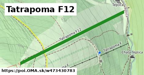 Tatrapoma F12