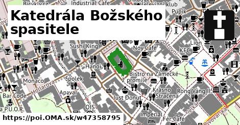 Katedrála Božského spasitele