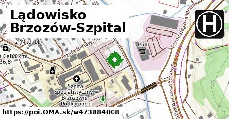 Lądowisko Brzozów-Szpital