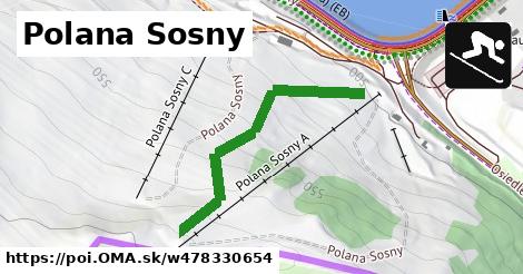 Polana Sosny