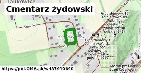 Cmentarz żydowski