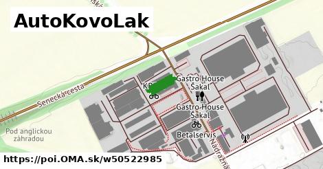 AutoKovoLak