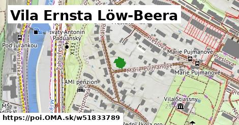 Vila Ernsta Löw-Beera