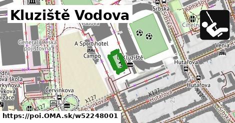 Kluziště Vodova