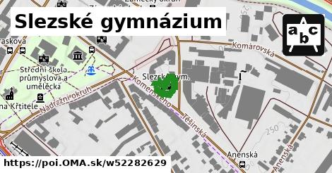 Slezské gymnázium