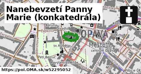 Nanebevzetí Panny Marie (konkatedrála)