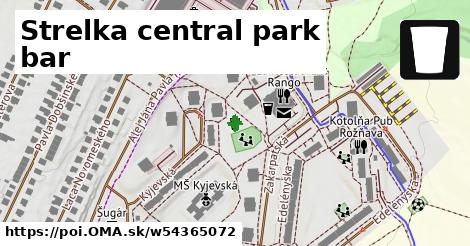 Strelka central park bar