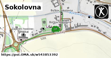 Sokolovna