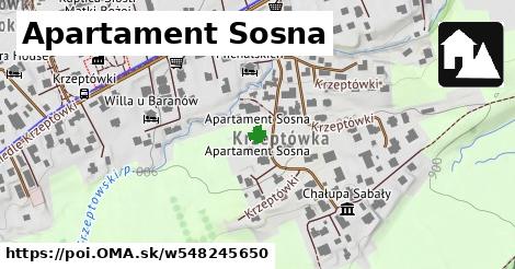 Apartament Sosna