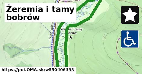 Żeremia i tamy bobrów