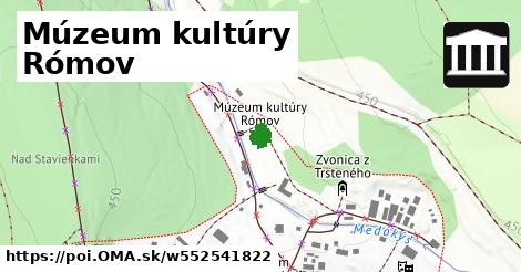 Múzeum kultúry Rómov