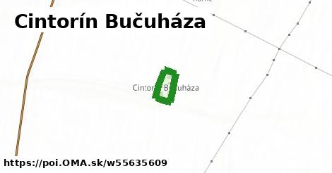 Cintorín Bučuháza