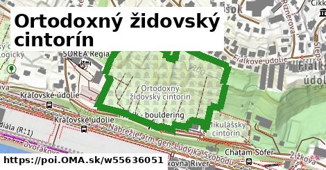 Ortodoxný židovský cintorín