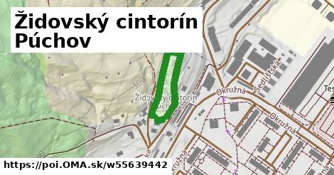 Židovský cintorín Púchov