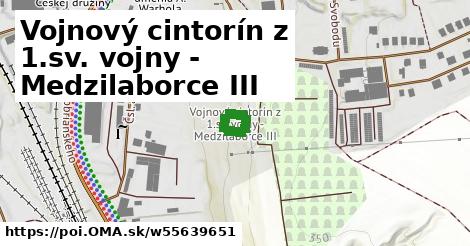 Vojnový cintorín z 1.sv. vojny - Medzilaborce III