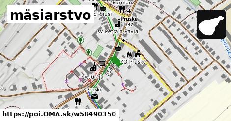 mäsiarstvo