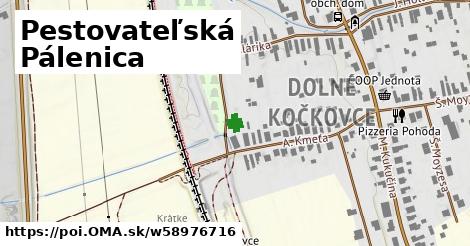 Pestovateľská Pálenica