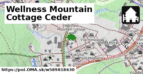 Wellness Mountain Cottage Ceder