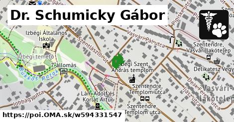 Dr. Schumicky Gábor