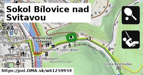 Sokol Bílovice nad Svitavou