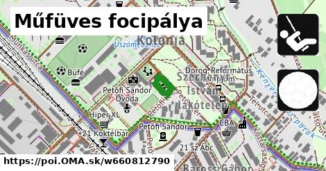 Műfüves focipálya