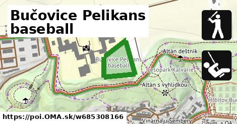 Bučovice Pelikans baseball