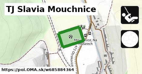 TJ Slavia Mouchnice