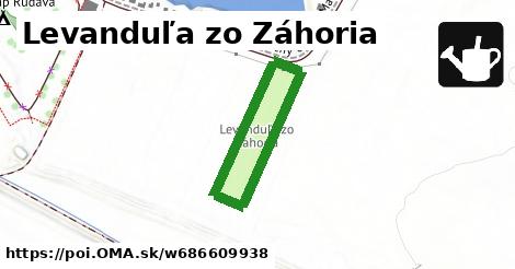 Levanduľa zo Záhoria