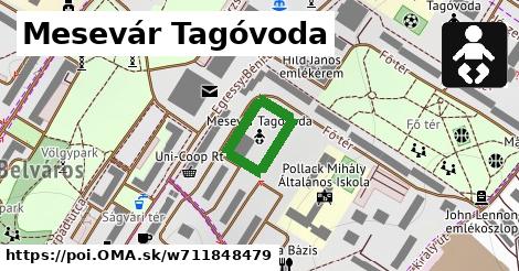 Mesevár Tagóvoda