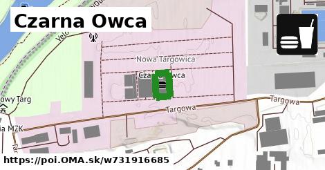 Czarna Owca