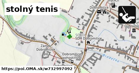 stolný tenis