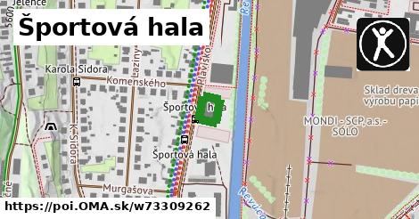 Športová hala