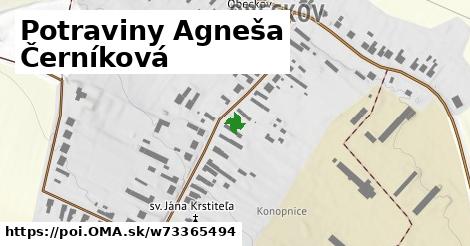 Potraviny Agneša Černíková