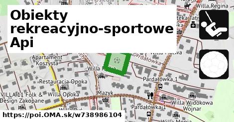 Obiekty rekreacyjno-sportowe Api